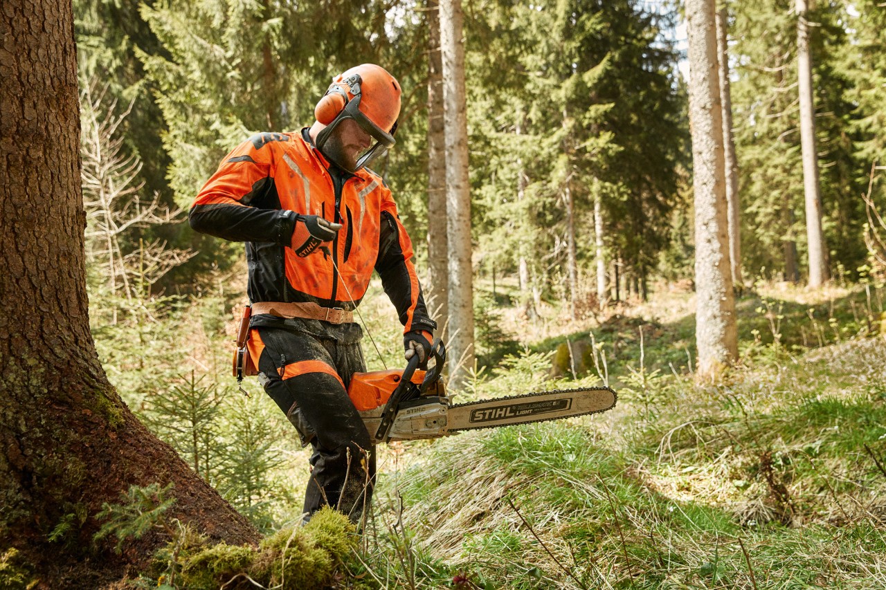 Forestry worker wearing protective equipment carrying a STIHL MS 462 C petrol chainsaw in a coniferous forest