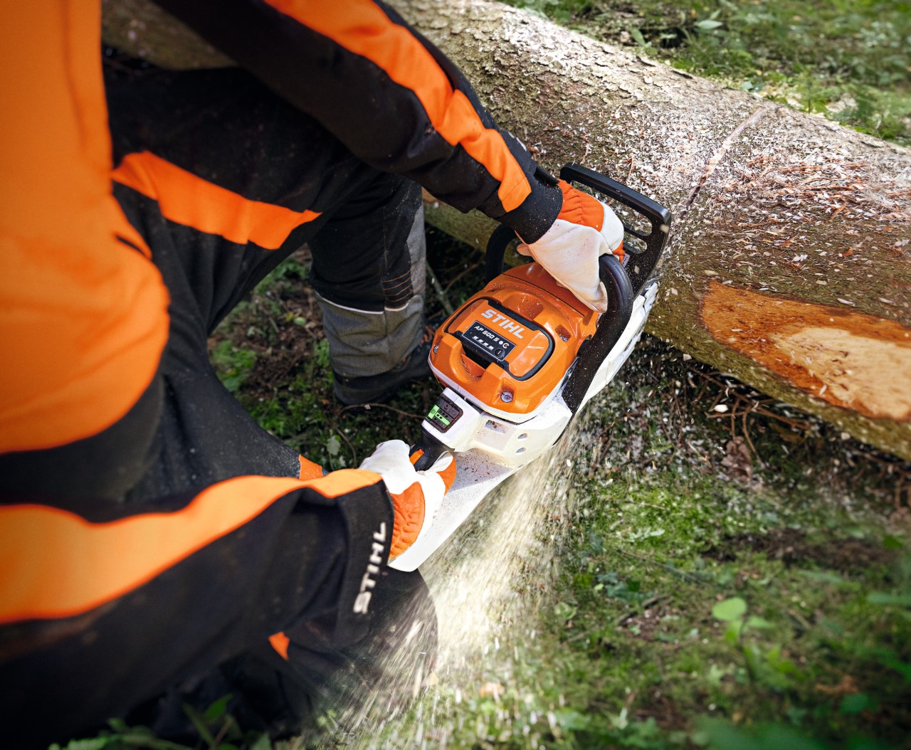 Close-up of someone cutting through a tree trunk with the STIHL MSA 300 cordless chainsaw