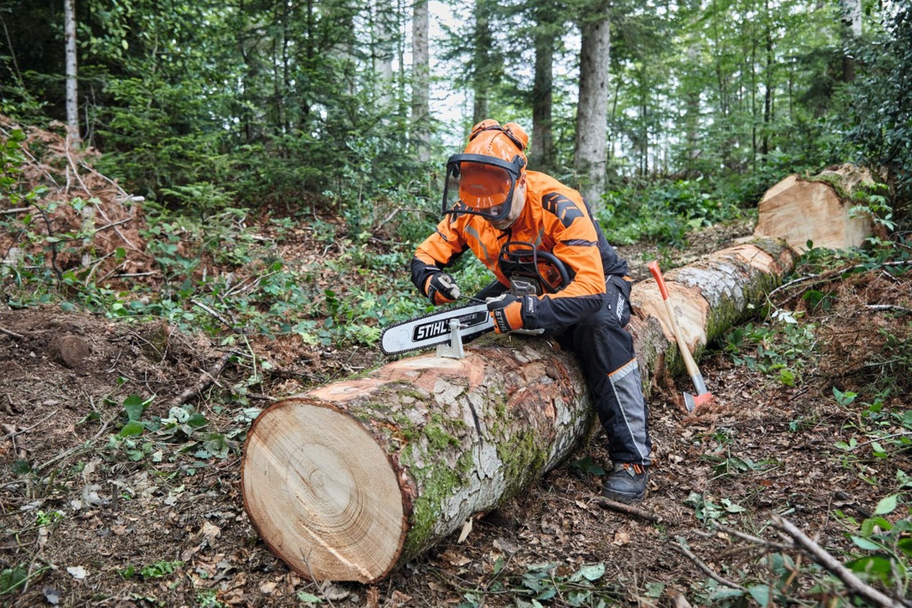 A man in protective equipment uses a STIHL chainsaw with a solid bar to cut up a tree that has already been felled