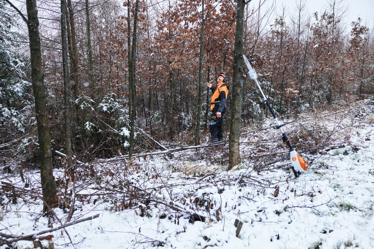 A man in protective work gear works in a snow-covered forest, in the foreground a STIHL HTA 150 cordless pole pruner leans against a tree trunk