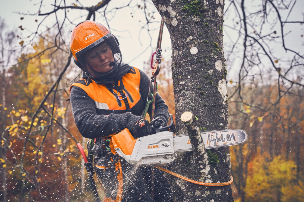 Arborist Viktoria Carstens hangs from the tree with a safety rope