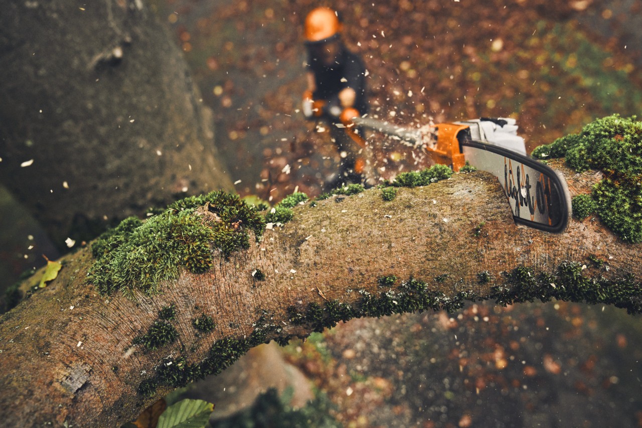 Man sawing branches off a tree with the STIHL HTA 160 cordless pole pruner