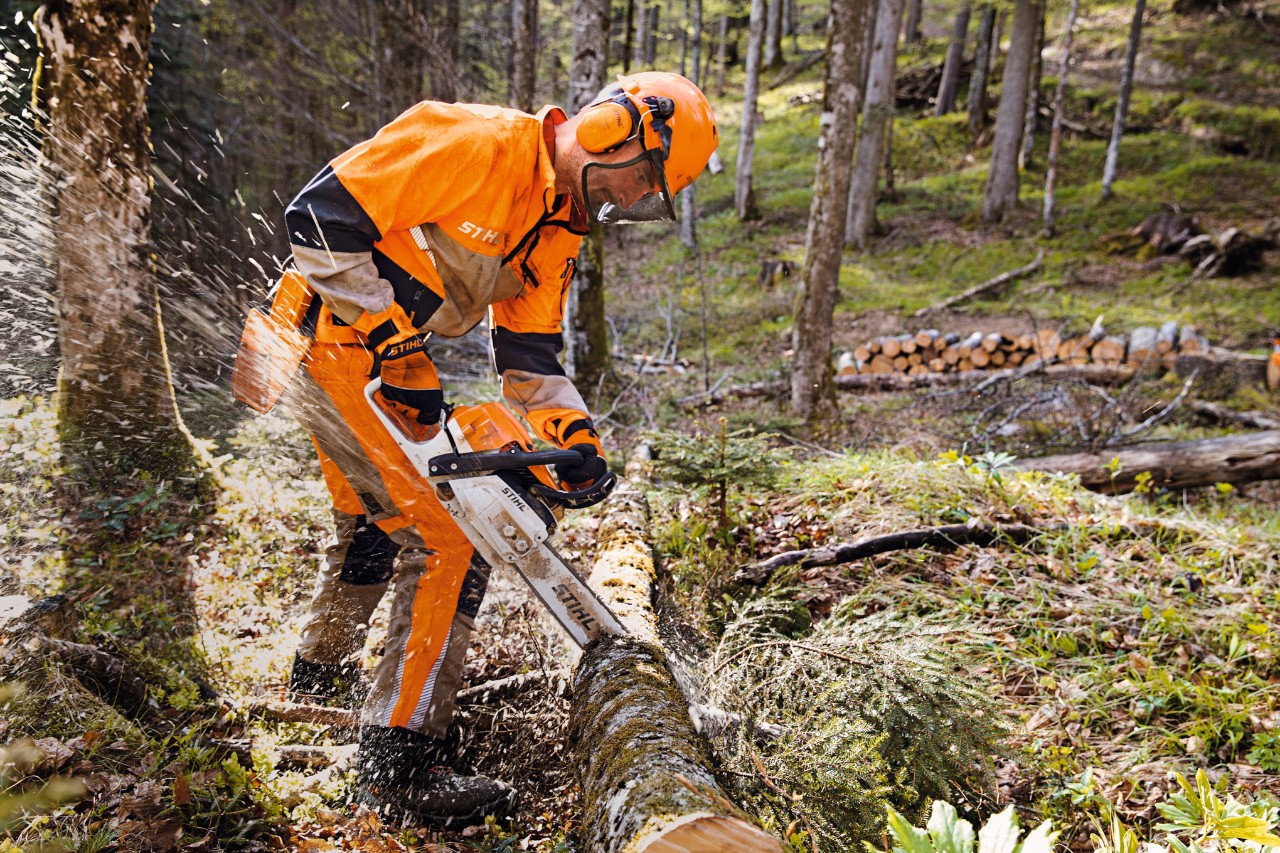 Forestry worker wearing STIHL protective clothing with Dynamic Vent trousers (cut protection class 1) sawing trees in the forest with a STIHL chainsaw